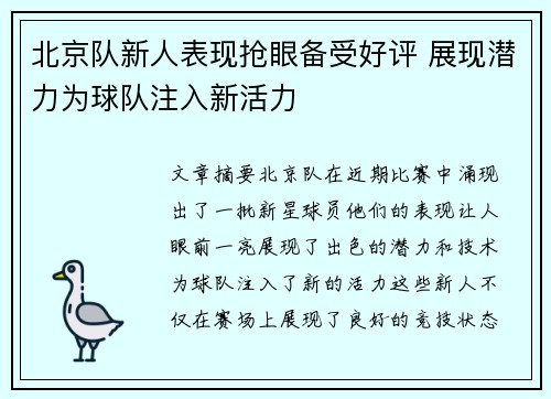 北京队新人表现抢眼备受好评 展现潜力为球队注入新活力